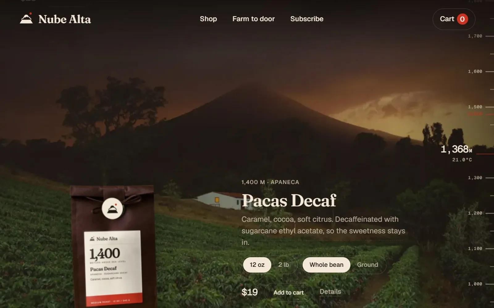 A coffee shown at 1,400 meters among the coffee rows